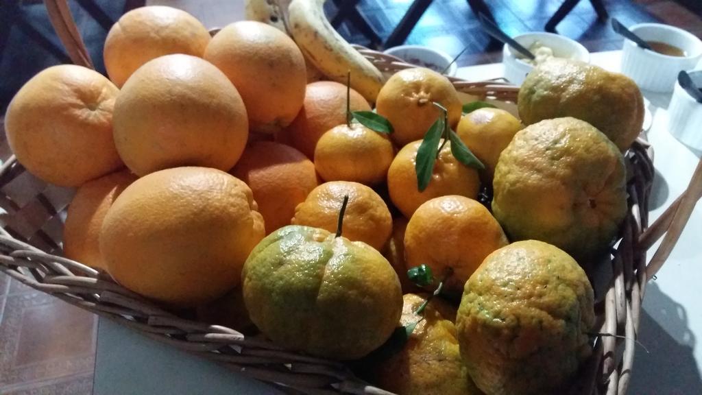 Pousada Três Coroas Esterno foto